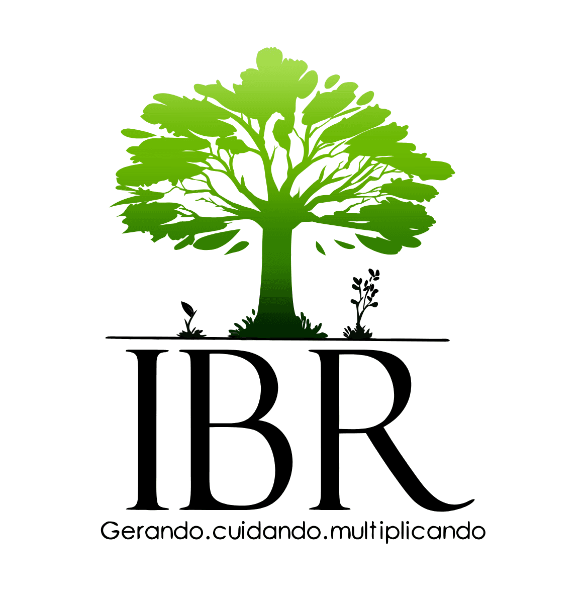 IBR Logo